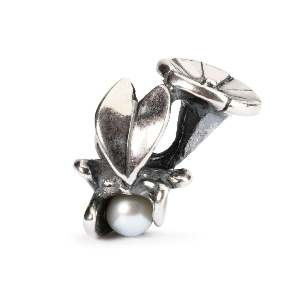 Trollbeads: Convolvolo di Settembre | TAGBE-00035