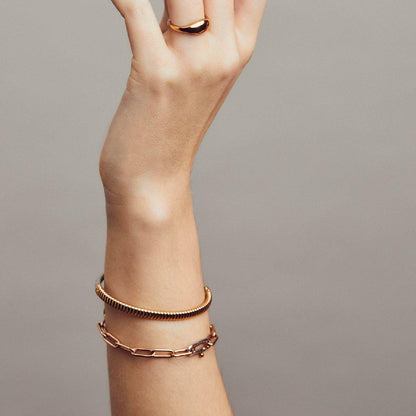 Bracciale Rigido | Ti Sento | 2956SR - FdM Easy
