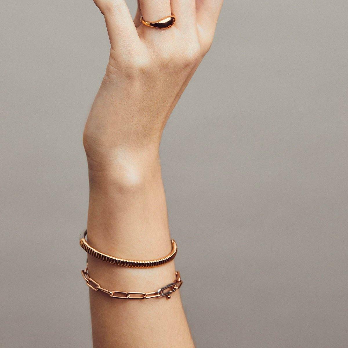 Bracciale Rigido | Ti Sento | 2956SR - FdM Easy